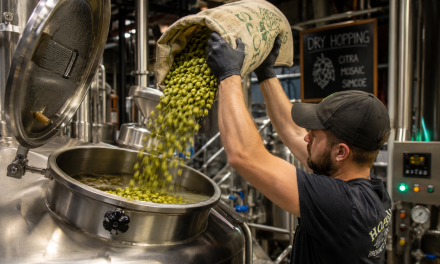 Τι είναι το Dry Hopping και γιατί άλλαξε τον κόσμο της σύγχρονης μπίρας;