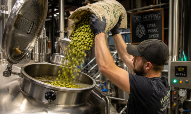 Τι είναι το Dry Hopping και γιατί άλλαξε τον κόσμο της σύγχρονης μπίρας;